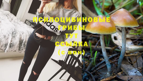 Альфа ПВП Алексеевка