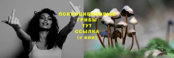 трава Алзамай