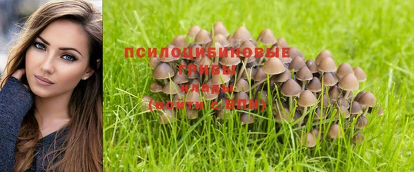 МДПВ Абаза