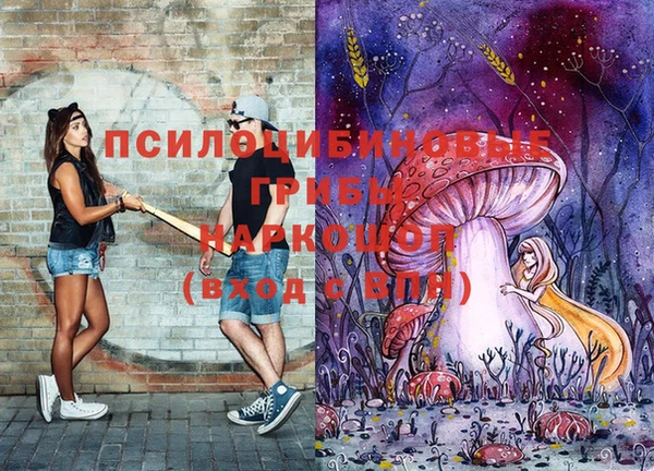МДПВ Абаза